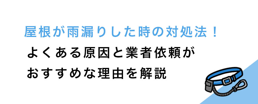 屋根が雨漏りした時の対処法！-よくある原因と業者依頼が-おすすめな理由を解説